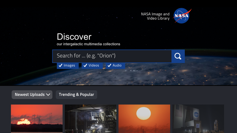 Screenshot of NASA Image and Video Library API homepage